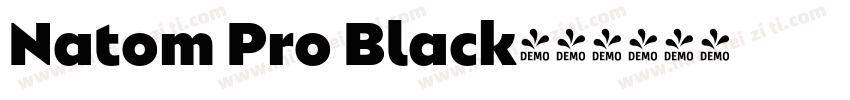 Natom Pro Black字体转换